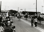 Bicentennial Parade -- Horses