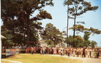 Postcard: "World's Largest Barbeque"